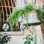 Babacco Lovely Terrace דירה